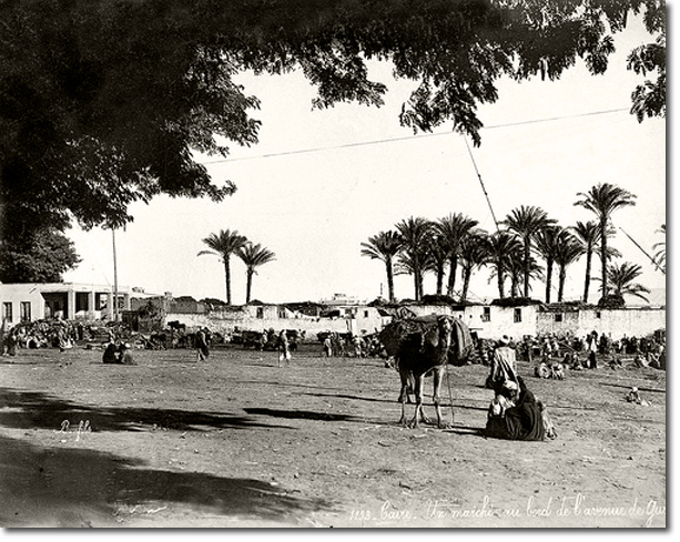 Cairo Market 1880