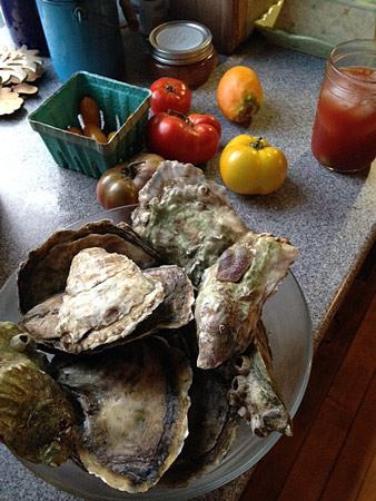 Oysters-huge-from-watch-Hill.jpg