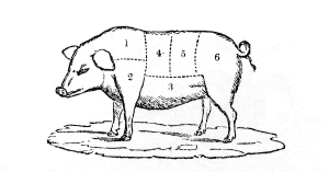 Pig-cuts023.png