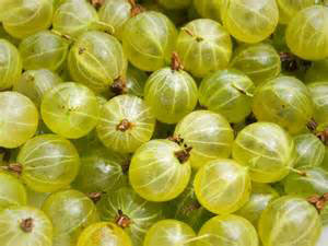 gooseberries.jpg