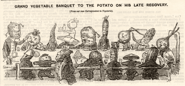 Irish-potato-banquet.png