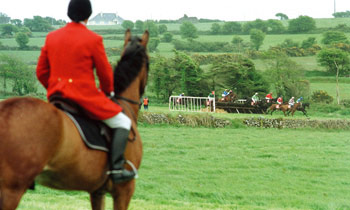 Irish-point-to-point.jpg