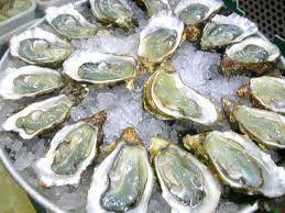 Oysters-on-ice.jpg