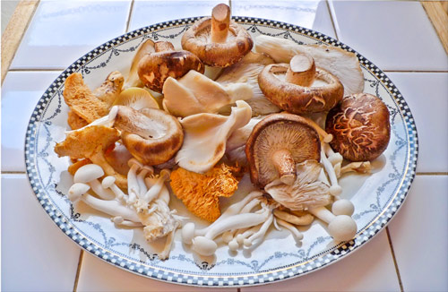 mushrooms_on_a_plate.jpg
