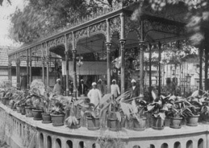 India-Raj-DAngelis-Tea-Garden-Madrase-1906.jpg