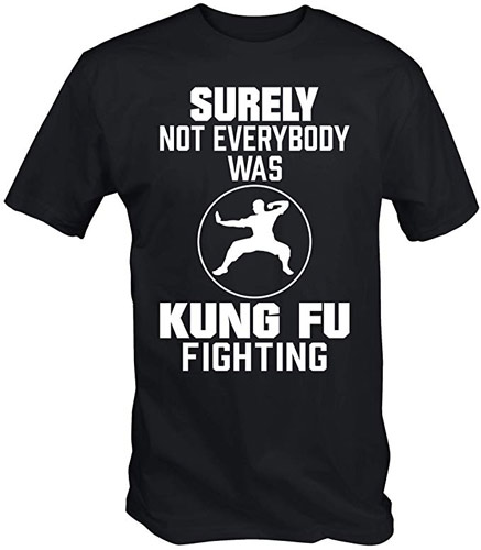 Surely-not-kung-fu-t.jpg