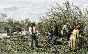 Plantation-in-us-south.jpg