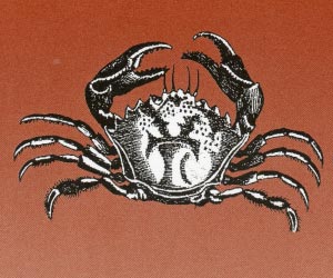 crab100.jpg