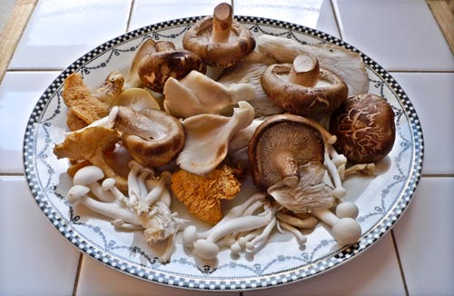 mushrooms_on_a_plate.jpg