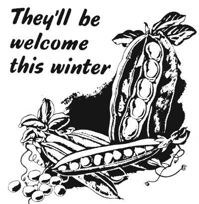 peas-for-winter002.png