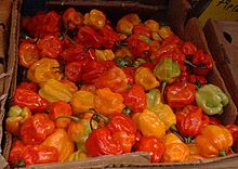 British-African-Caribbean-pepper-market.jpg