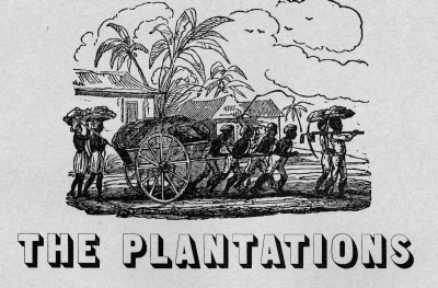 The-Plantations001.jpg