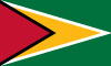 guyana-flag.jpg