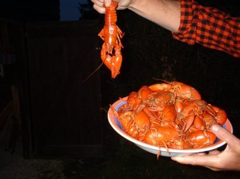 Crayfish dish