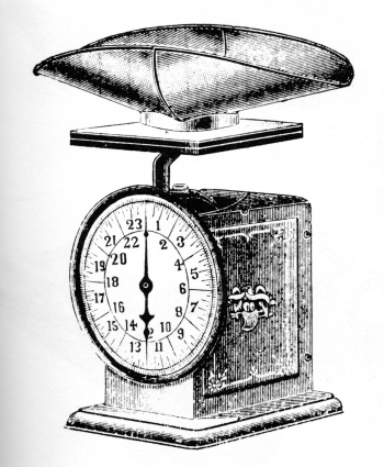 Scale Engraving