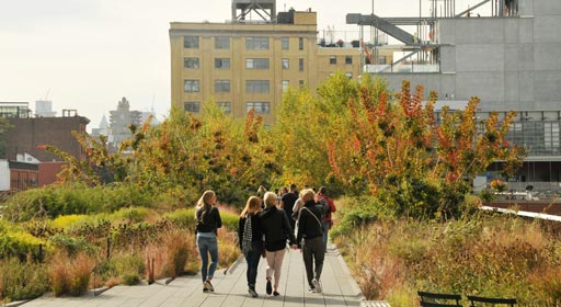 autumn-on-the-high-line_list_image.jpg
