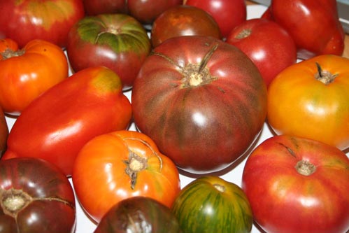 heirloom_tomatoes.jpg