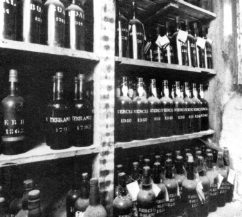 Madeira_vintage_bottles.jpg