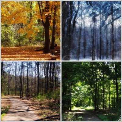 Four-Seasons-image.jpg