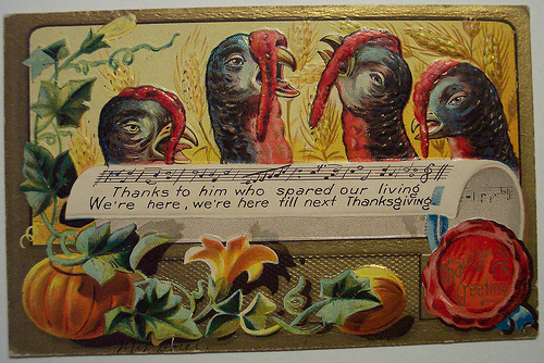 Vintage Thanksgiving Postcard