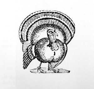 Turkey Drawing