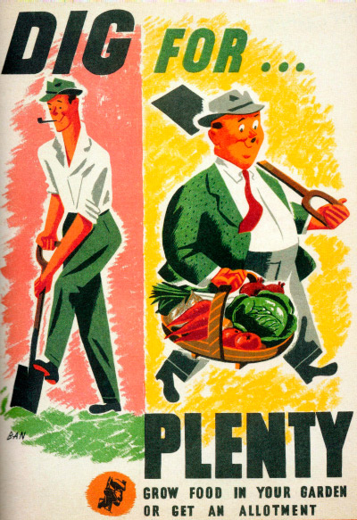 Dig for Plenty - Grow food in your garden or get an allotment