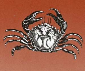 crab100.jpg